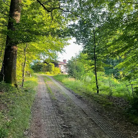 Wooden House With Nature Views Near 度假居
