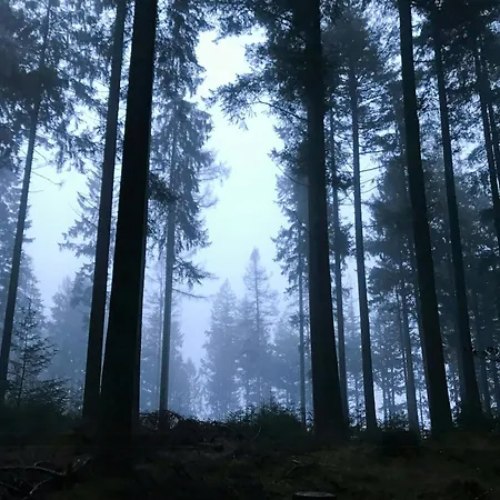 Wooden House With Nature Views Near 度假居 锡尔克堡